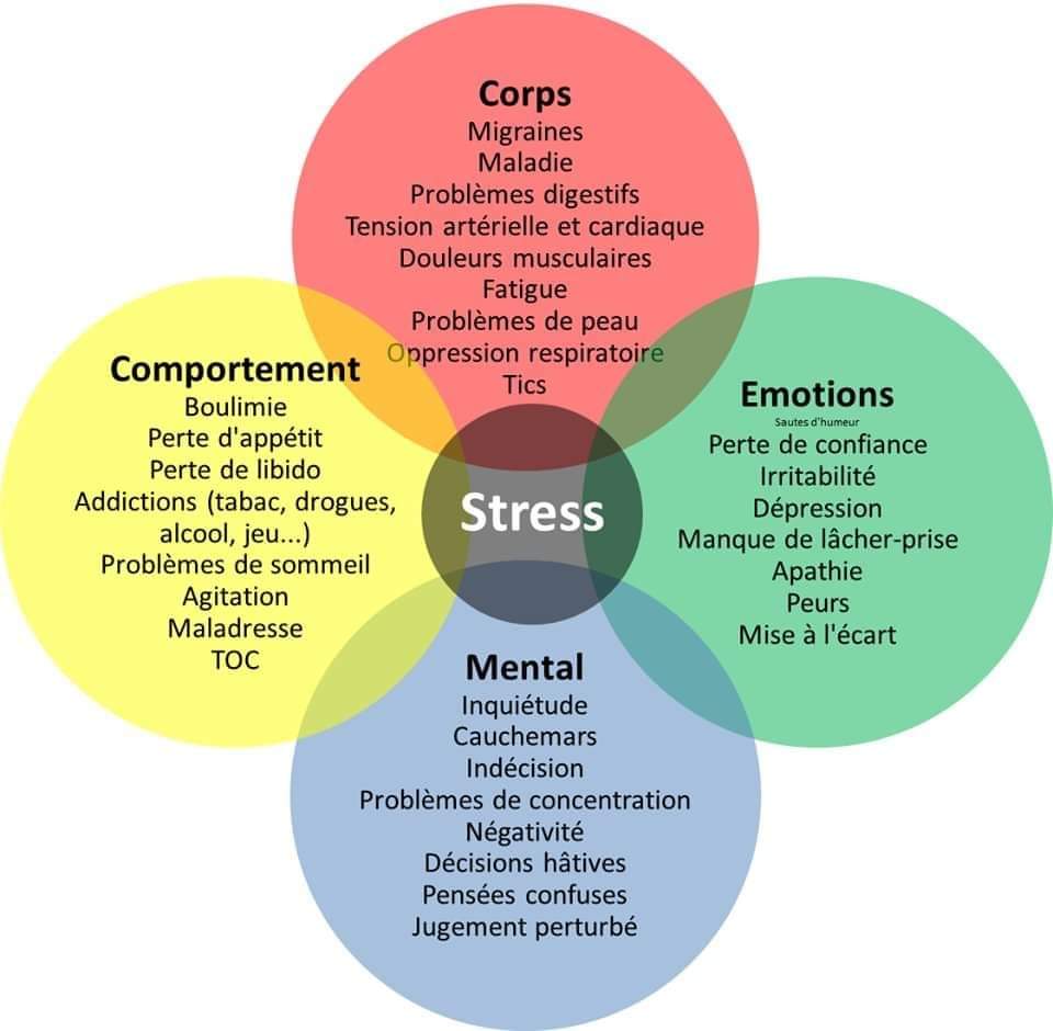 Le stress et ses manifestations — corps, mental, émotions, comportement